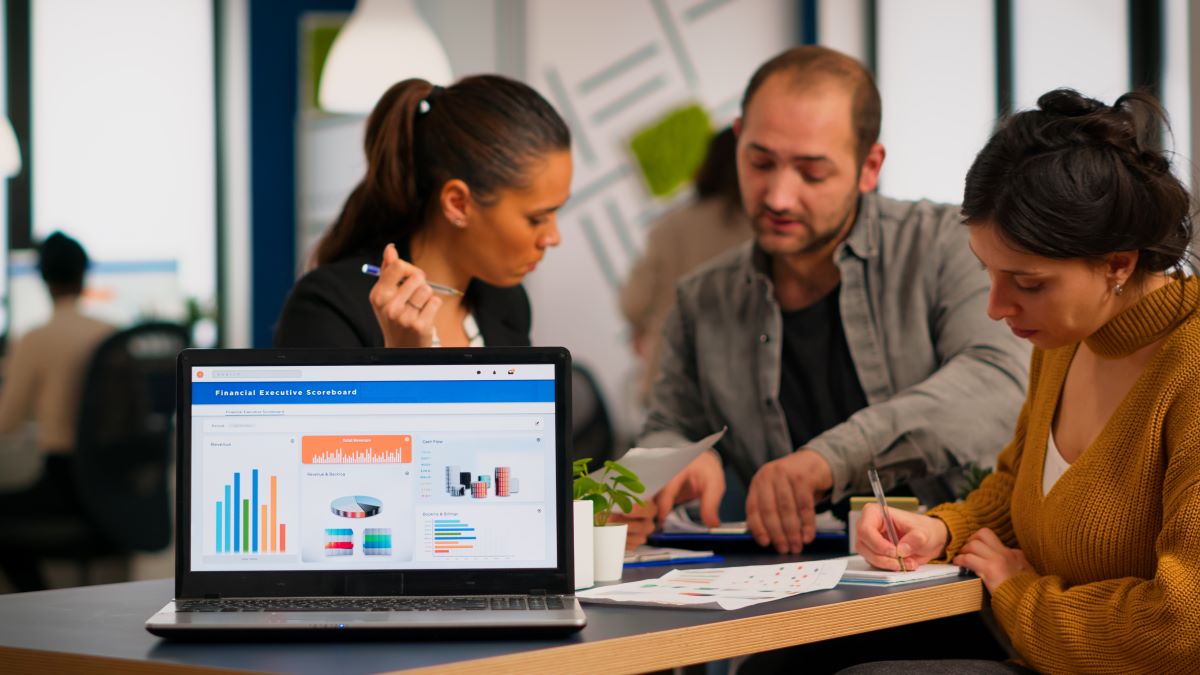 Software for Chartered Accountants